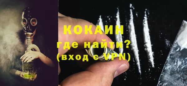 дживик Богородицк