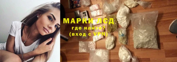 PSILOCYBIN Бугульма