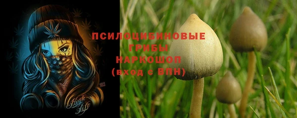 дживик Богородицк