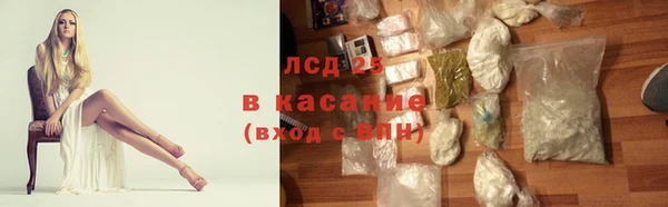 PSILOCYBIN Бугульма