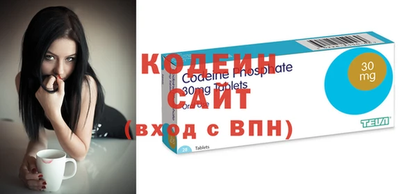 дживик Богородицк