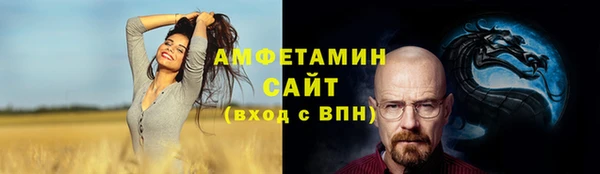 дживик Богородицк