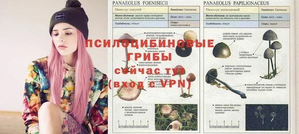 не бодяженный Богданович