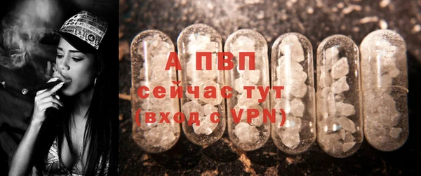 не бодяженный Богданович