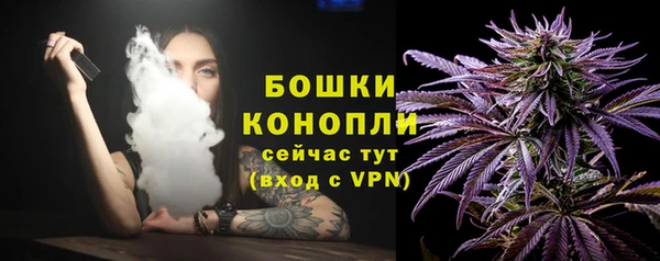дживик Богородицк